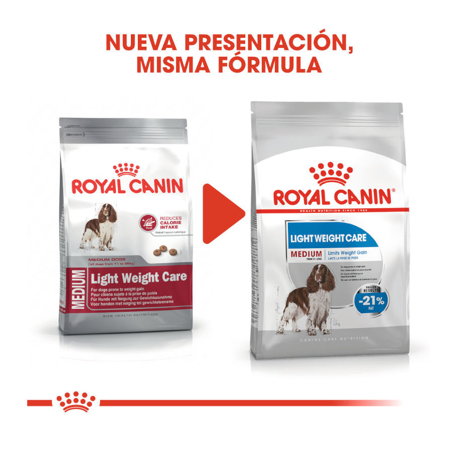 12 kg Royal Canin Medium Light Weight Care ra&ccedil;&atilde;o para c&atilde;es, , large Imagem n&uacute;mero 3